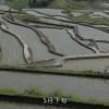 四谷梯田