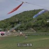 茶臼山高原芝樱
