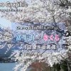 富士山和樱花