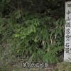 中山道 马笼宿