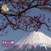 被富士山眷顾的城市–富士市–和富士山相约