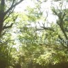 长泉町官方宣传片系列—绿色能源