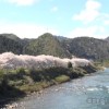 尽享郡上–自然风光 赏花