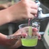 小学校里有绿茶自来水管  篇