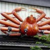 螃蟹料理 – 札幌 螃蟹本家